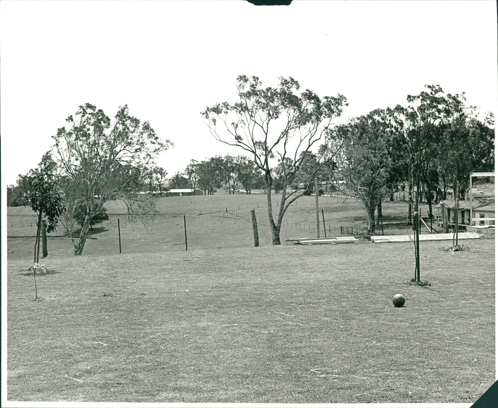 View Towards Poultry Husbandry Unit and the Rural Veterinary Centre, Camden Campus