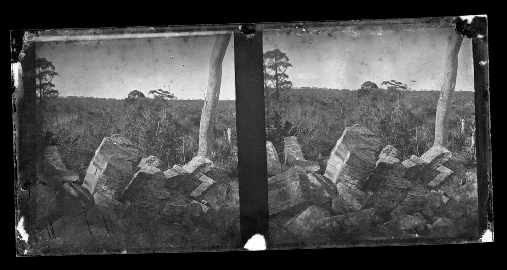 Columnar Sandstone Outcrops, Lane Cove