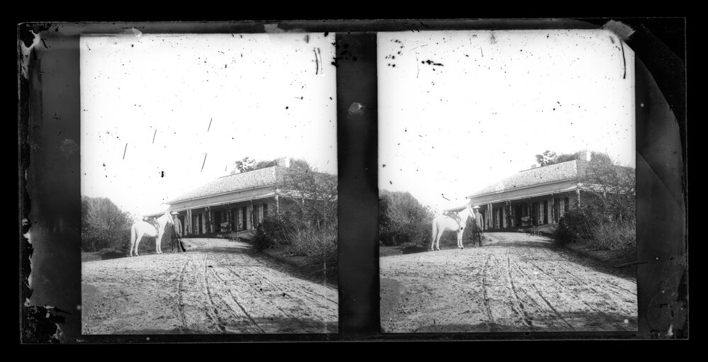 Driveway to Stone House, Possibly Kurrajong