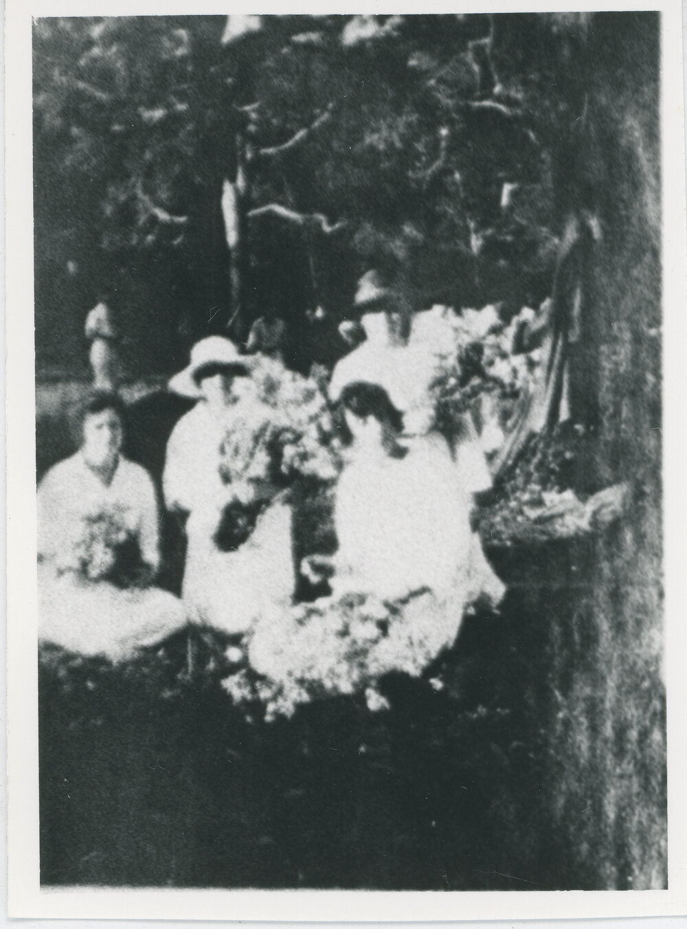 Picking Flowers at Sydney Teachers College (STC) Camp, Cowan