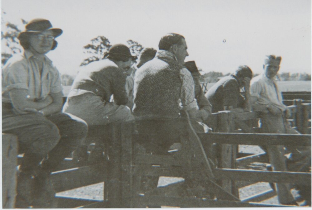 Margaret Glasson, Brian Gallagher and Bill Stephens at the Badgerys Creek University Farm