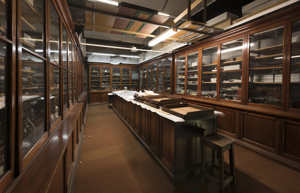Macleay Museum Storage Cabinets
