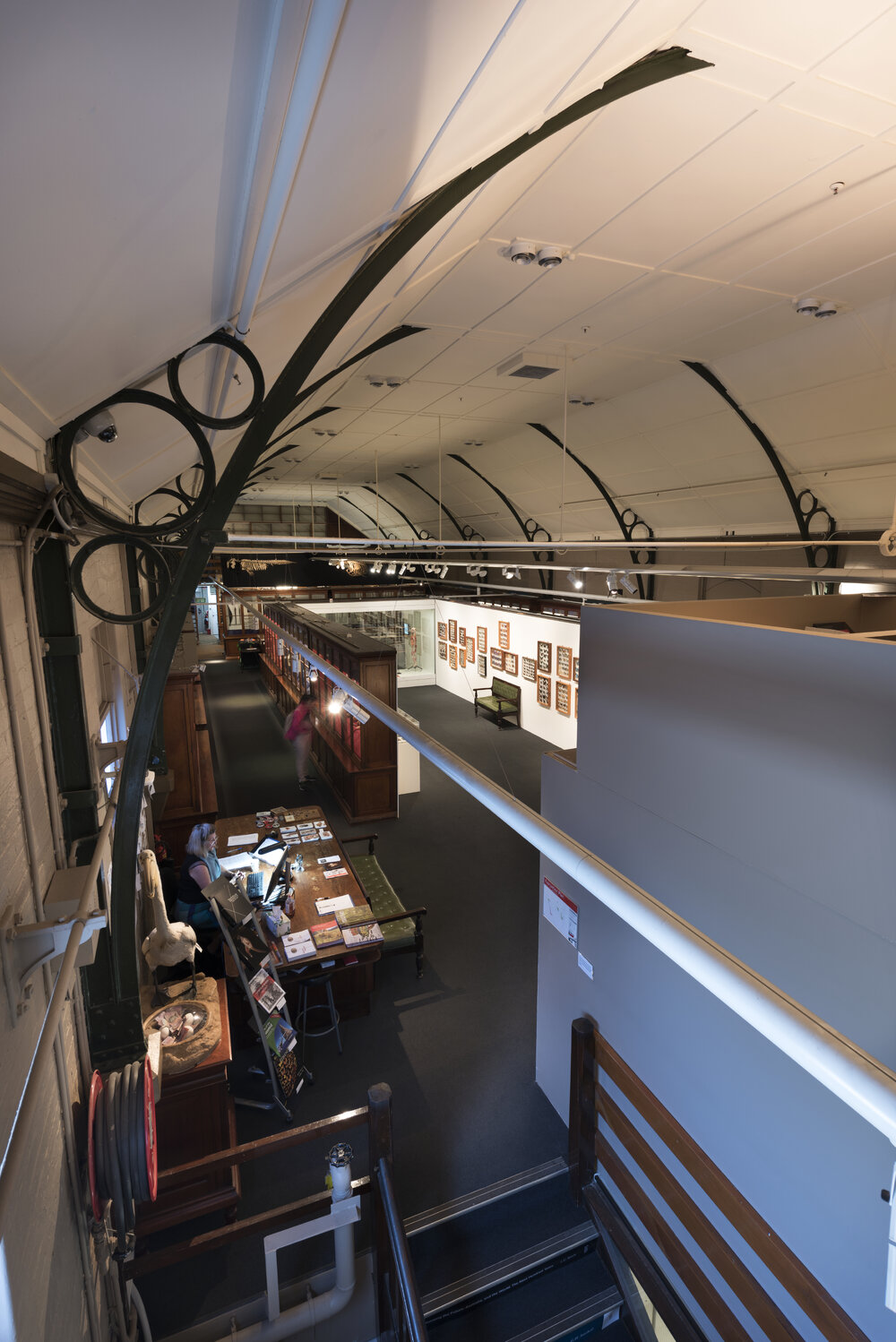Detail of Macleay Museum Ceiling