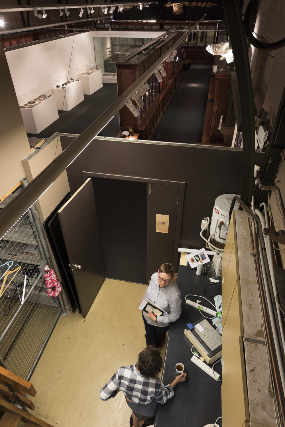 Macleay Museum Kitchen