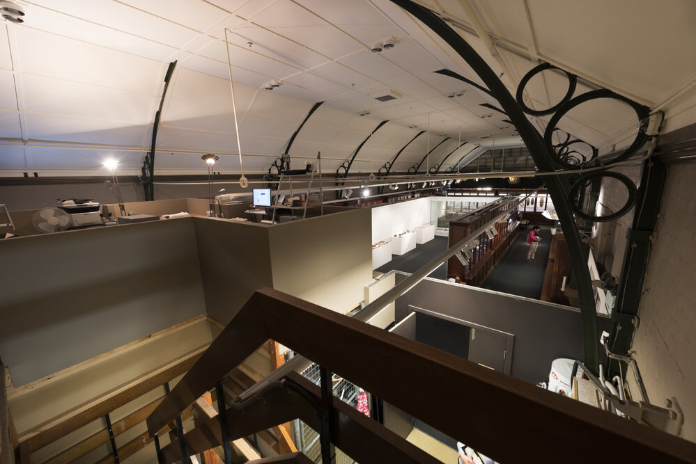 Detail of Macleay Museum Ceiling