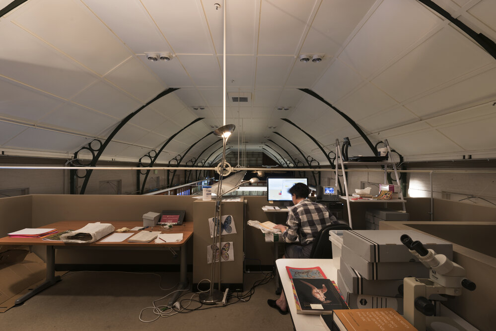 Macleay Museum Mezzanine