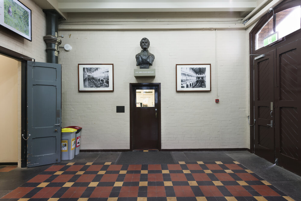 Macleay Museum Foyer and Entrance to the Macleay Museum Office