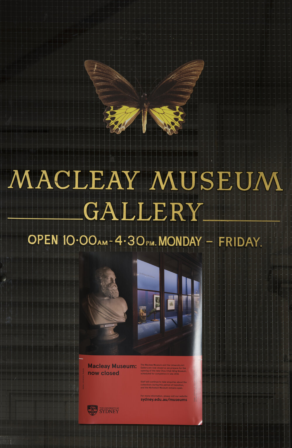 Stairs and Sign on Door to Macleay Museum Gallery