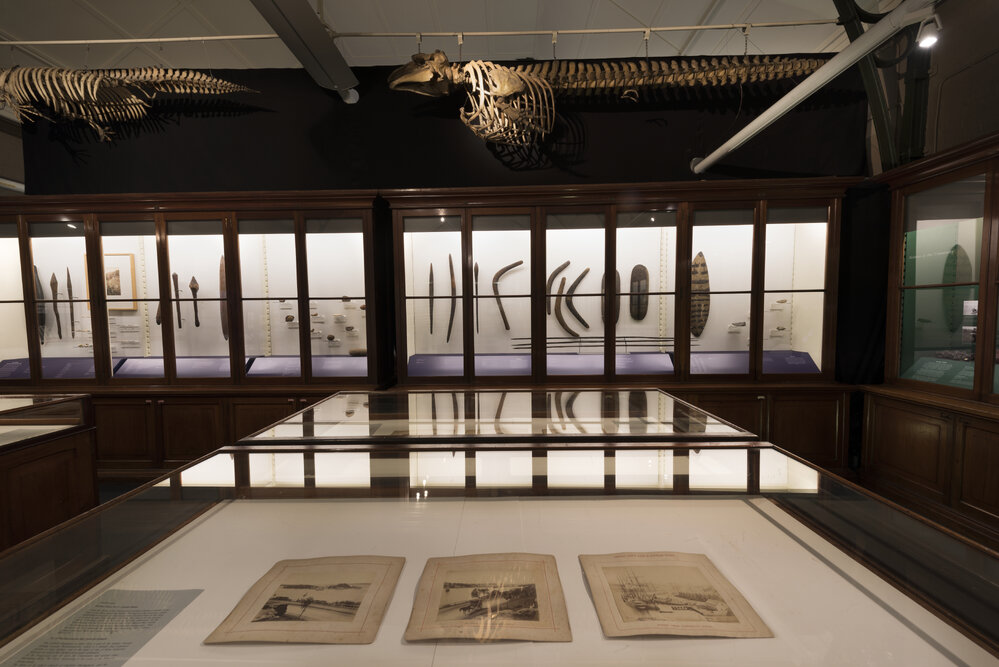 Macleay Museum Display Cabinet