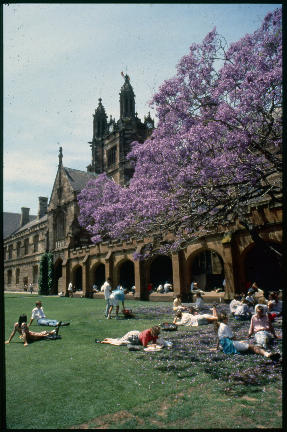 Students Relaxing in Quadrangle