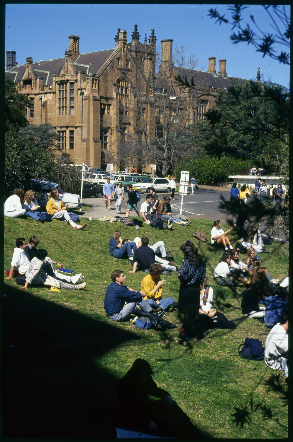 Students Relaxing on Lawn Near the Anderson Stuart Building