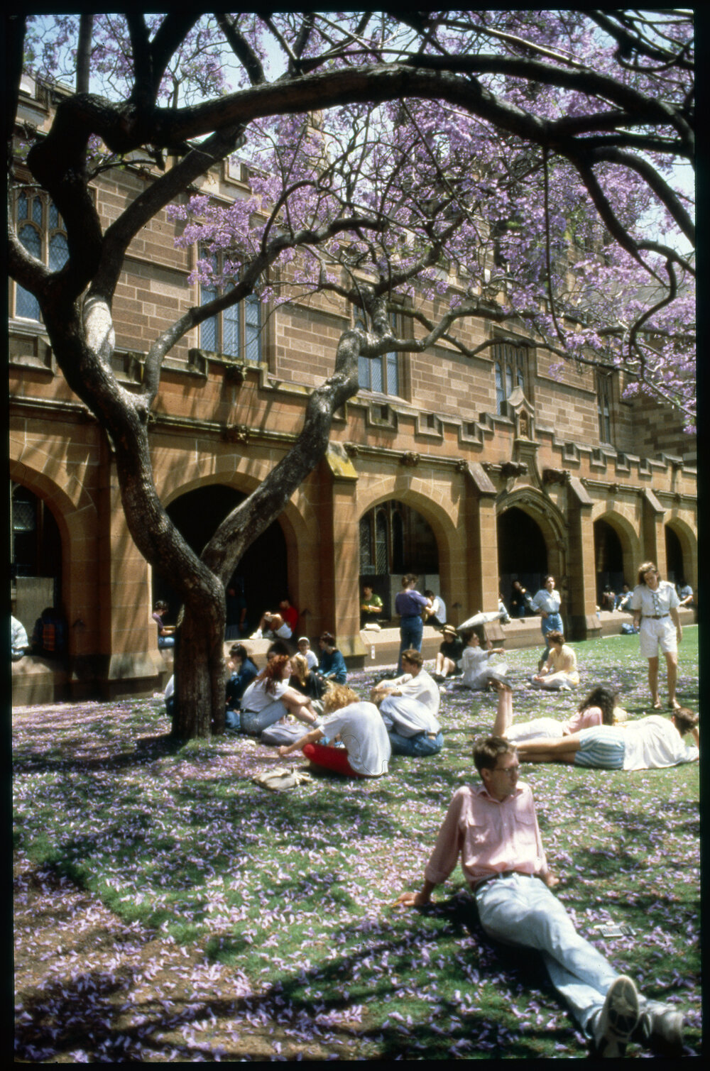 Students Relaxing in Quadrangle