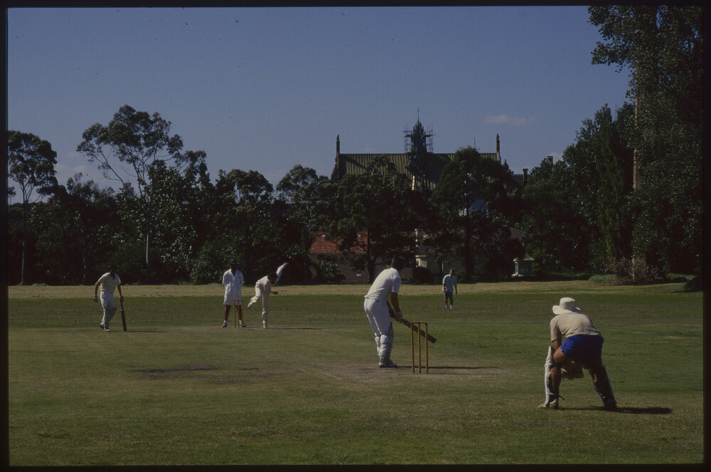 Cricket Match