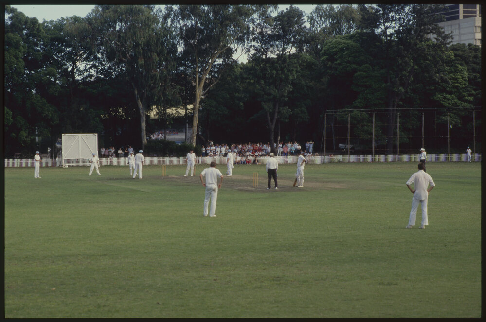 Cricket Match