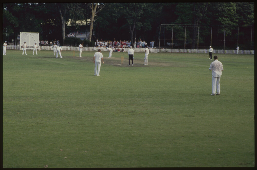 Cricket Match