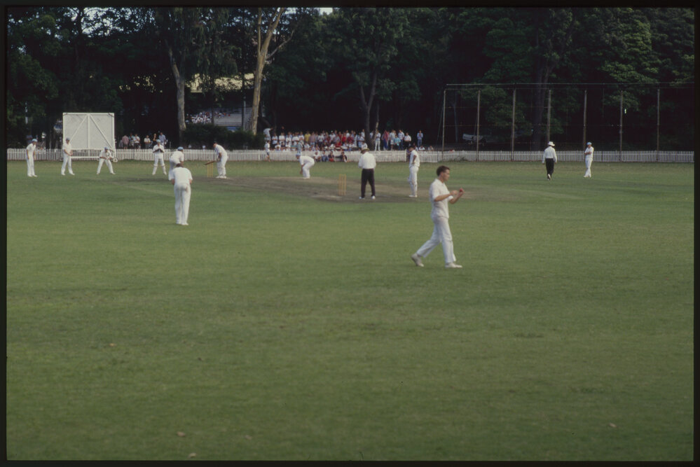 Cricket Match