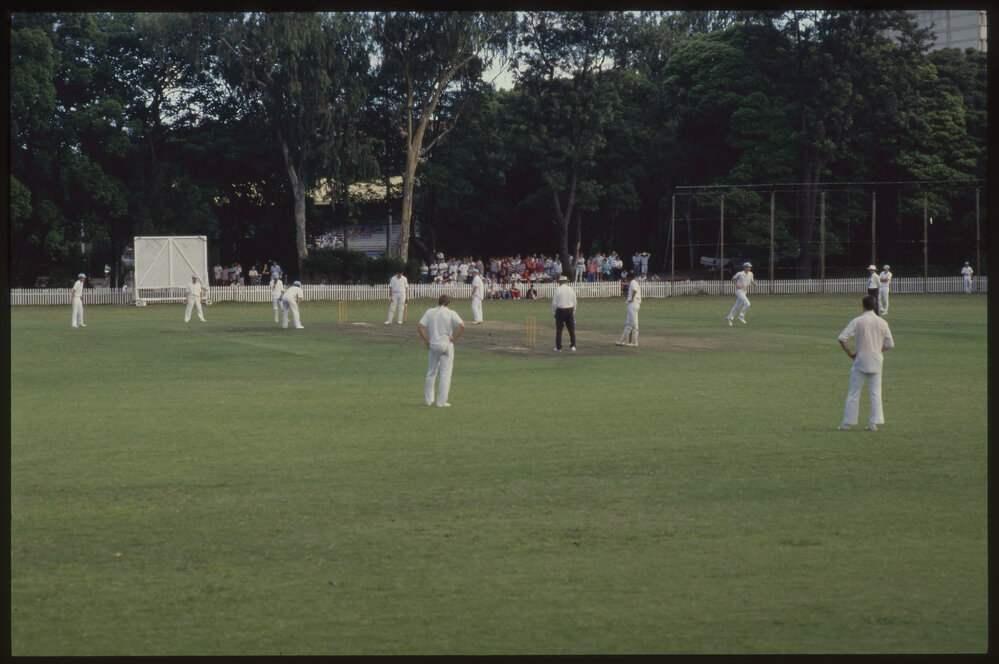 Cricket Match