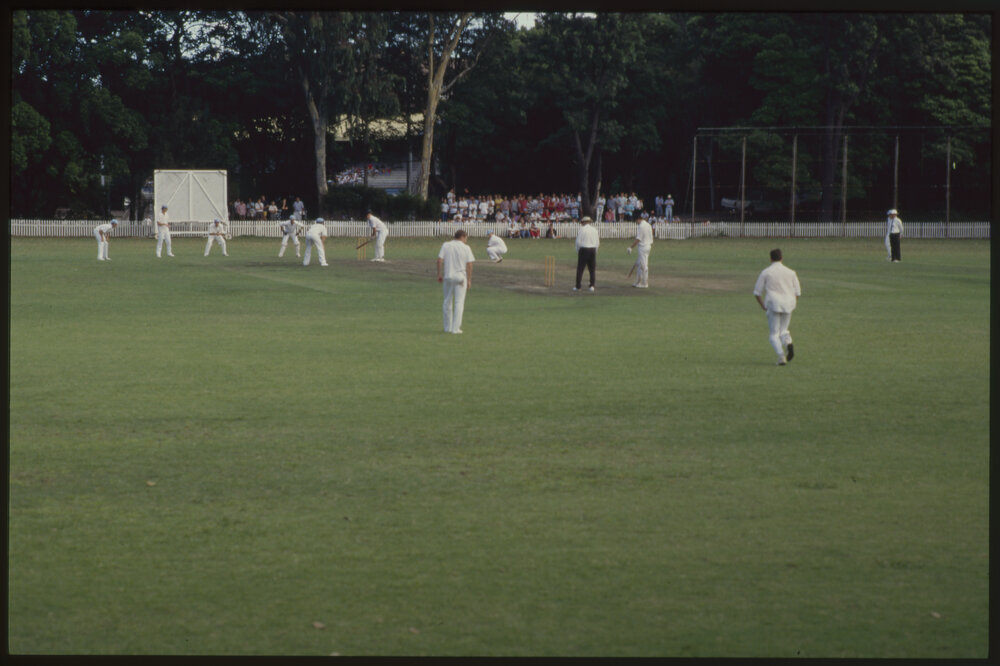Cricket Match
