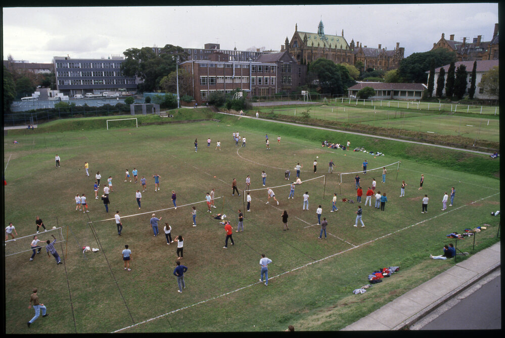 Social Volleyball