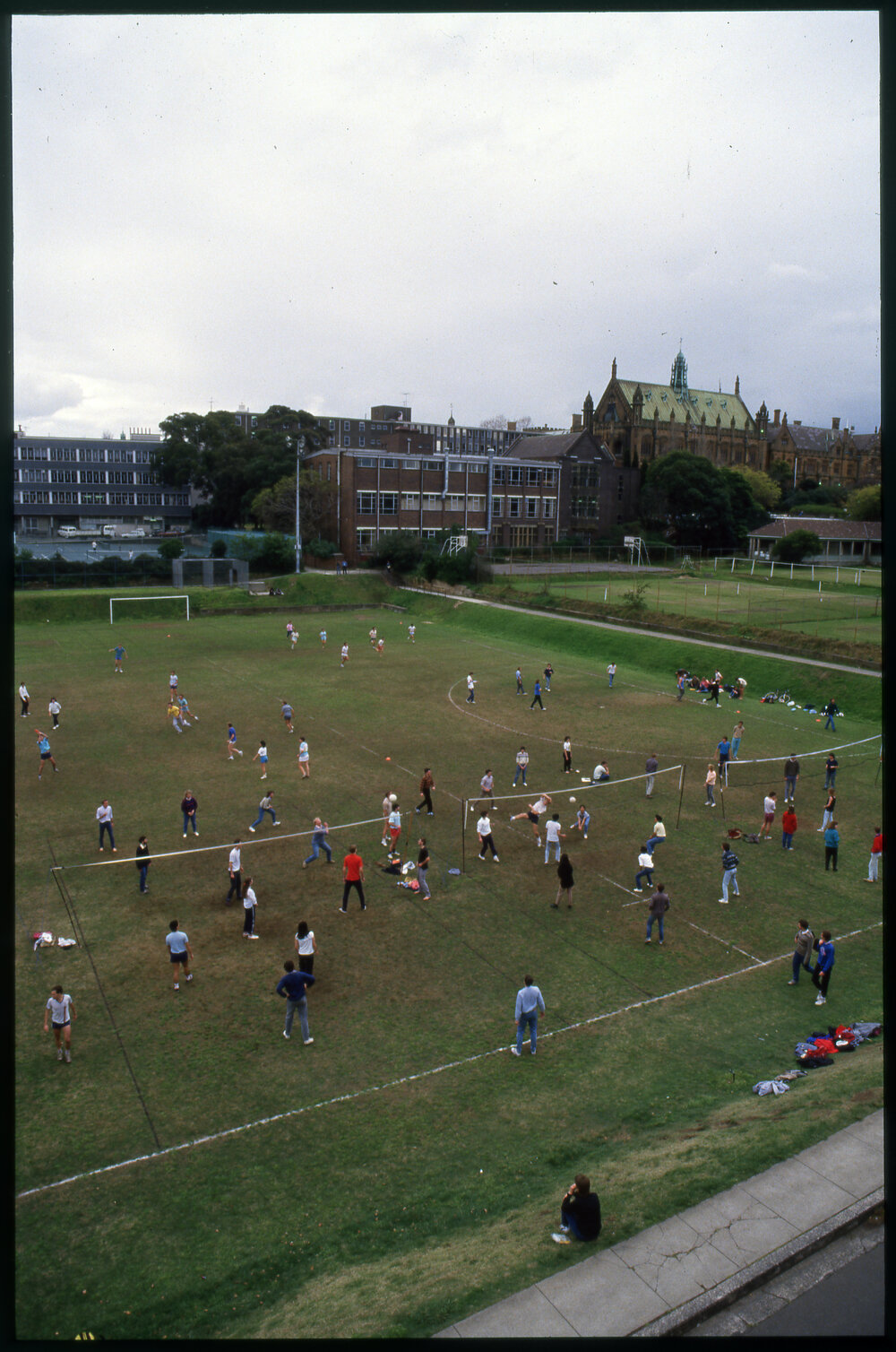 Social Volleyball
