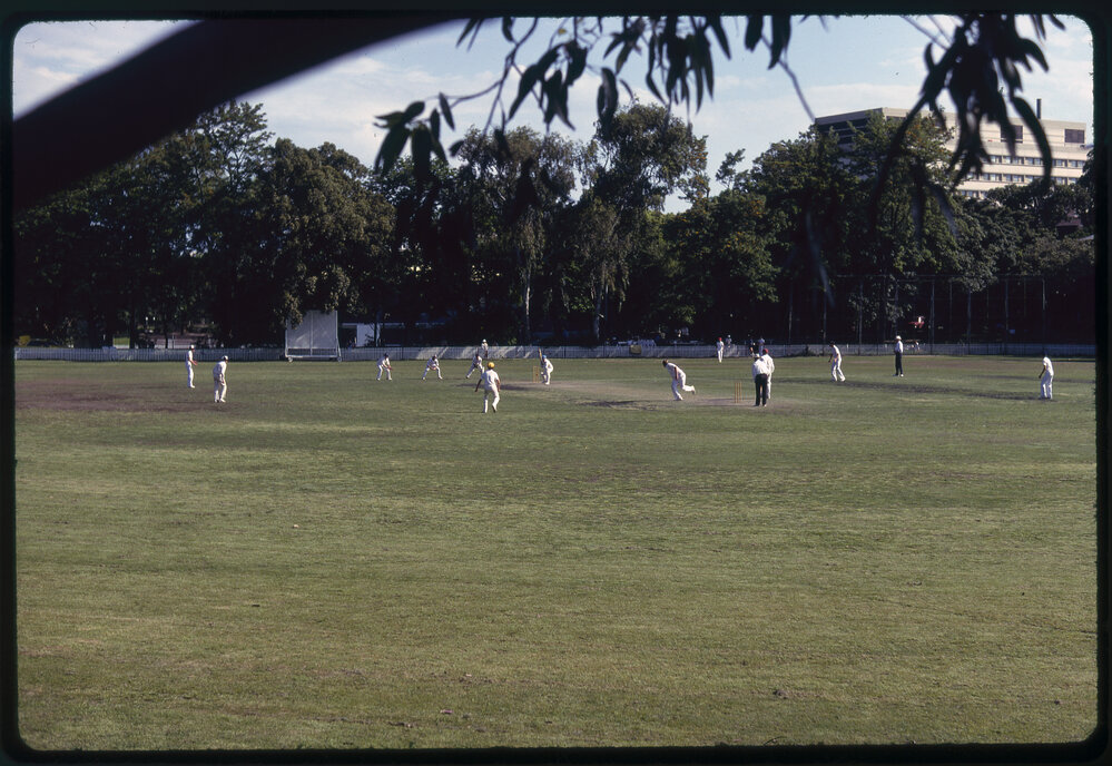 Cricket on No 2 Oval