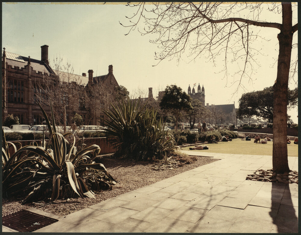 Lawn Next to Edgeworth David Building