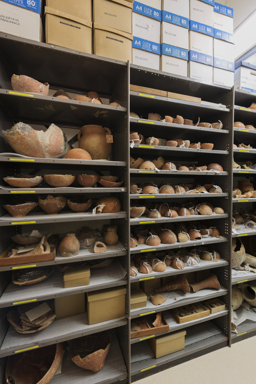 Pots on Shelves in the Nicholson Museum Store