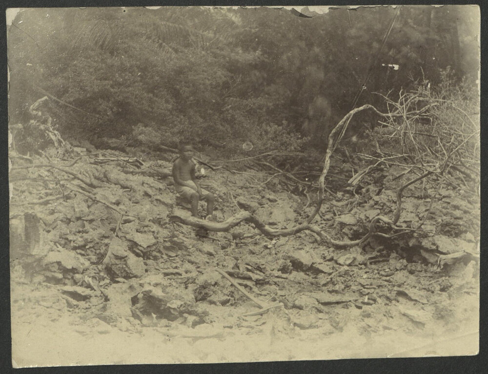 Slope of Beach North of Funafuti Camp