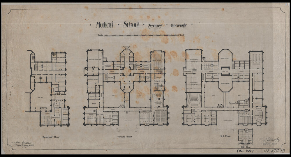 Medical School - Basement, Ground Floor, First Floor, Attic