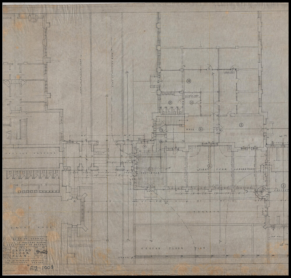 Macleay Museum - Additions for Department of Botany - Ground Floor