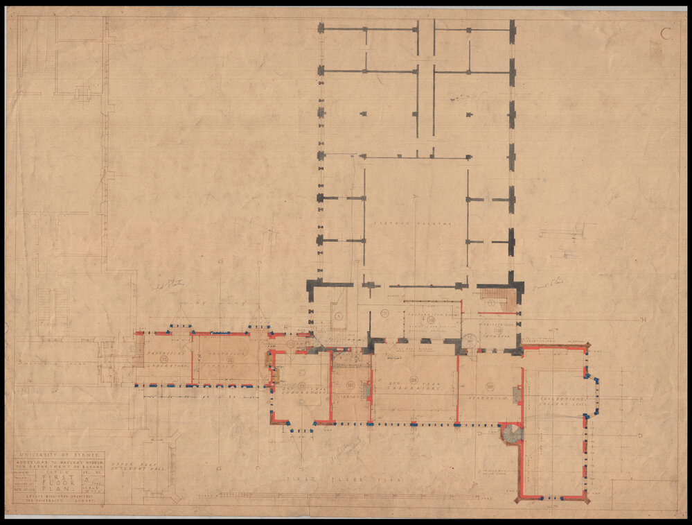 Macleay Museum - Additions for Department of Botany - First Floor