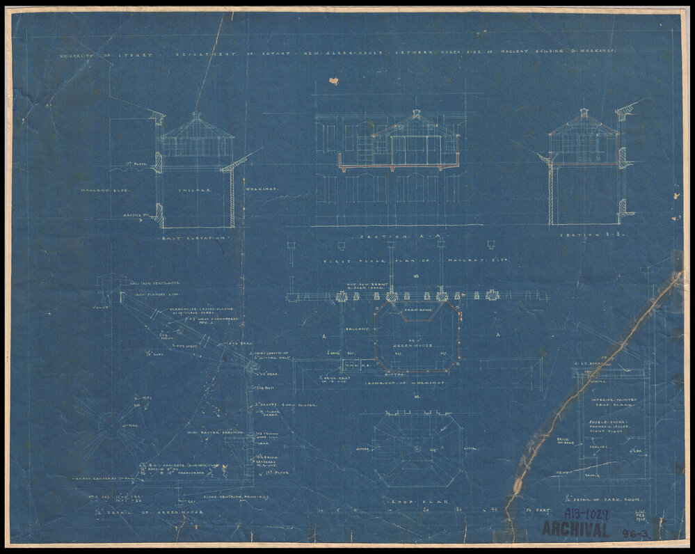Macleay Museum - Department of Botany - New Greenhouse - Blueprint Copy