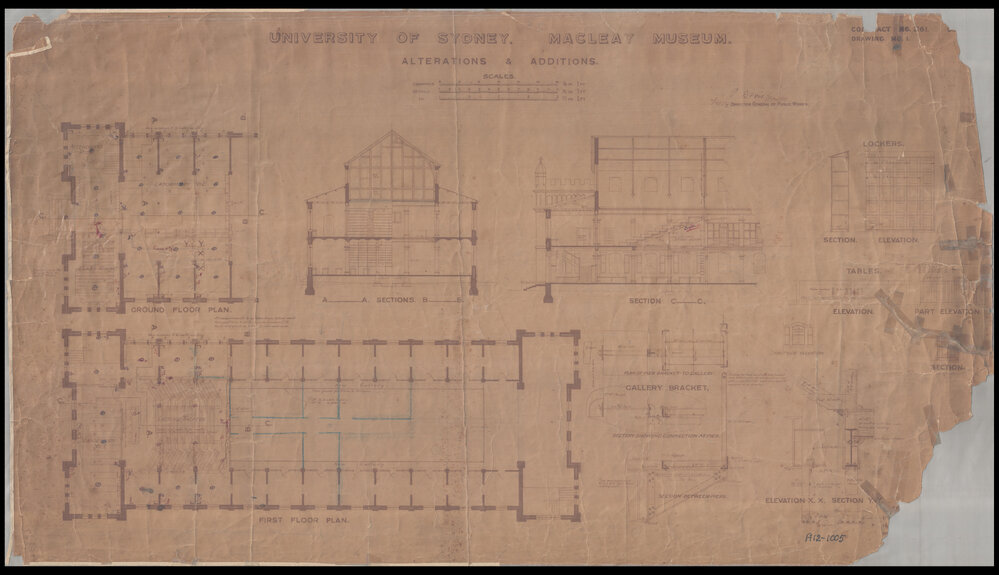 Macleay Museum - Alterations and Additions - Ground Floor, First Floor