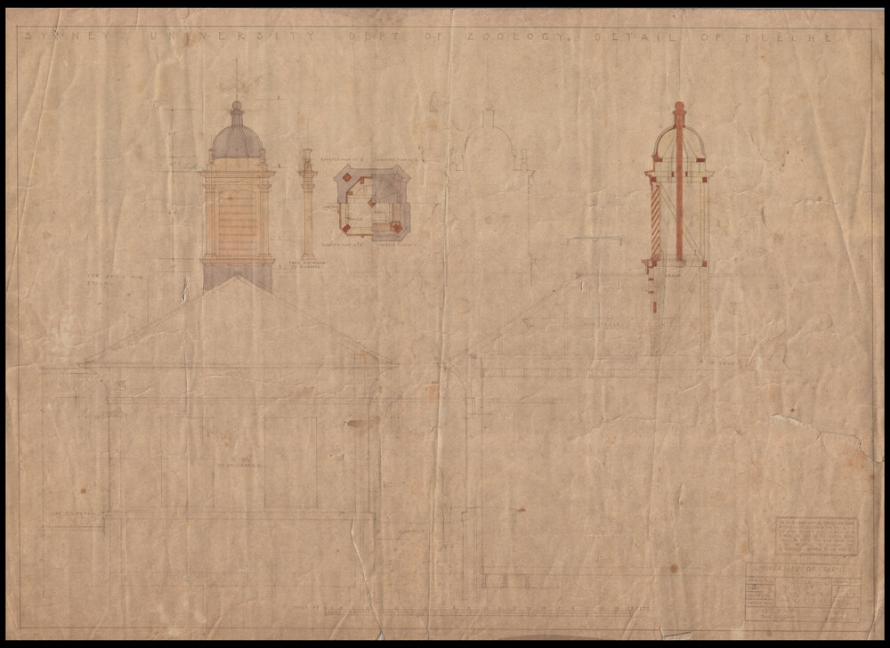 Biology Building - Zoology Building - Department of Zoology - Detail of Fleche