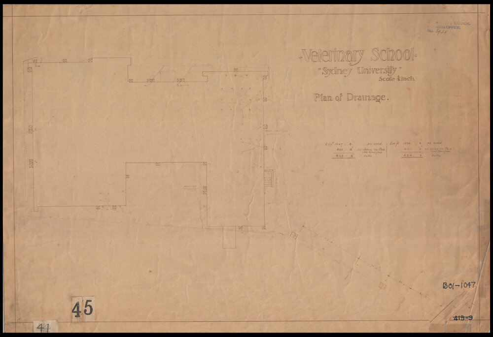 Veterinary School - Veterinary Science - Plan of Drainage
