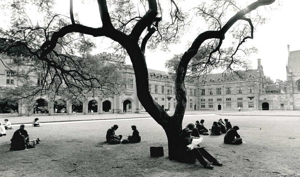 Students Seated Under the Quadrangle Jacaranda Tree