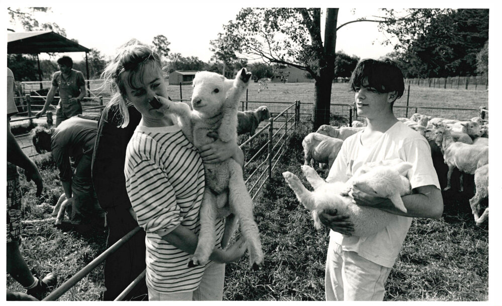 Veterinary Students with Sheep at Camden Farm