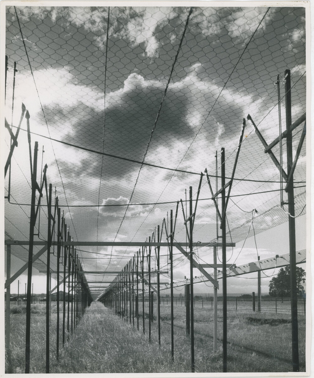 Mills Cross Radio Telescope