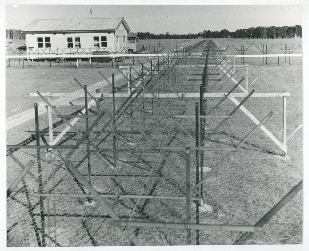 Mills Cross Radio Telescope