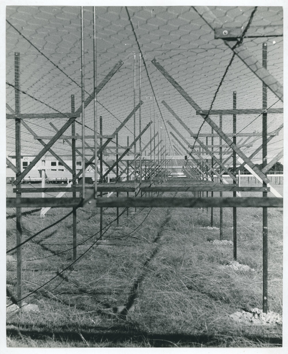 Mills Cross Radio Telescope