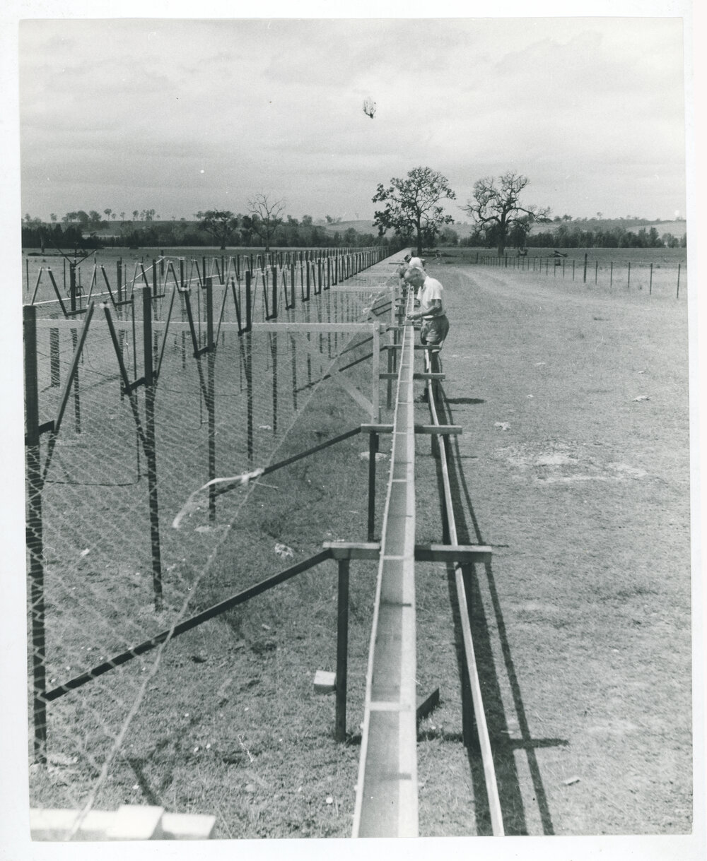 Mills Cross Radio Telescope