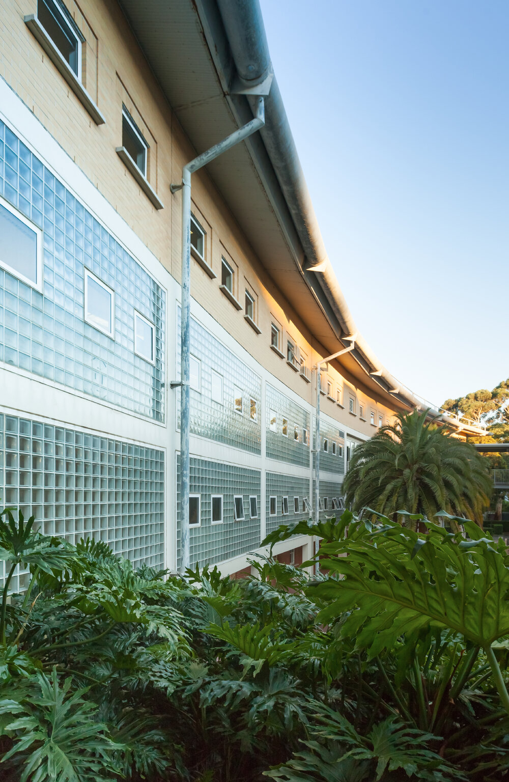 Engineering Link Building