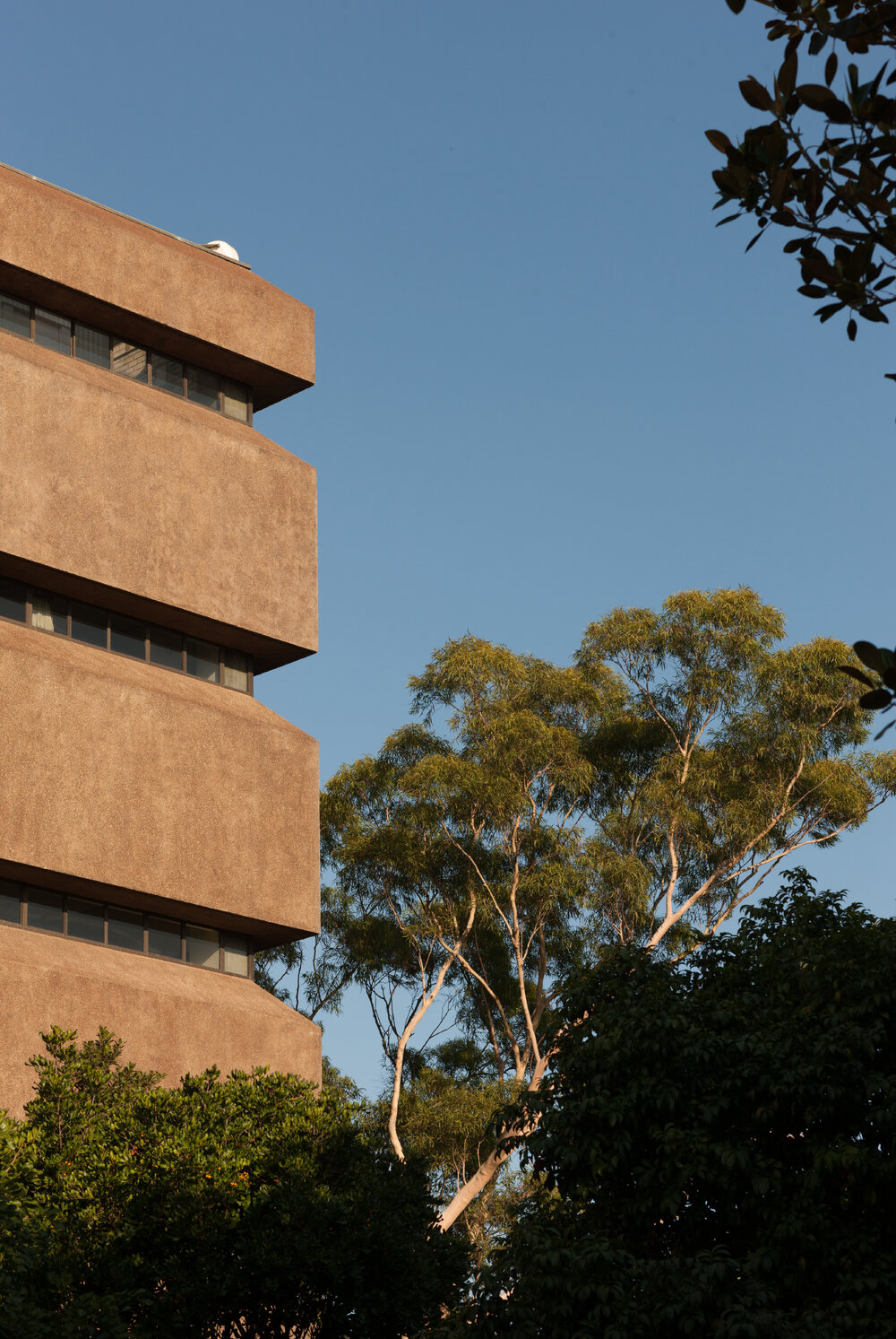 Molecular Bioscience Building