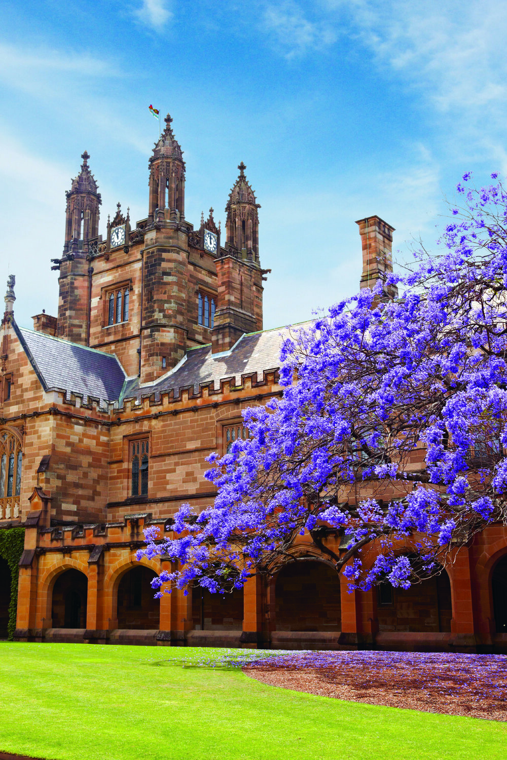 Quadrangle with Jacaranda in Bloom