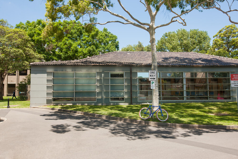 Evelyn Williams Building