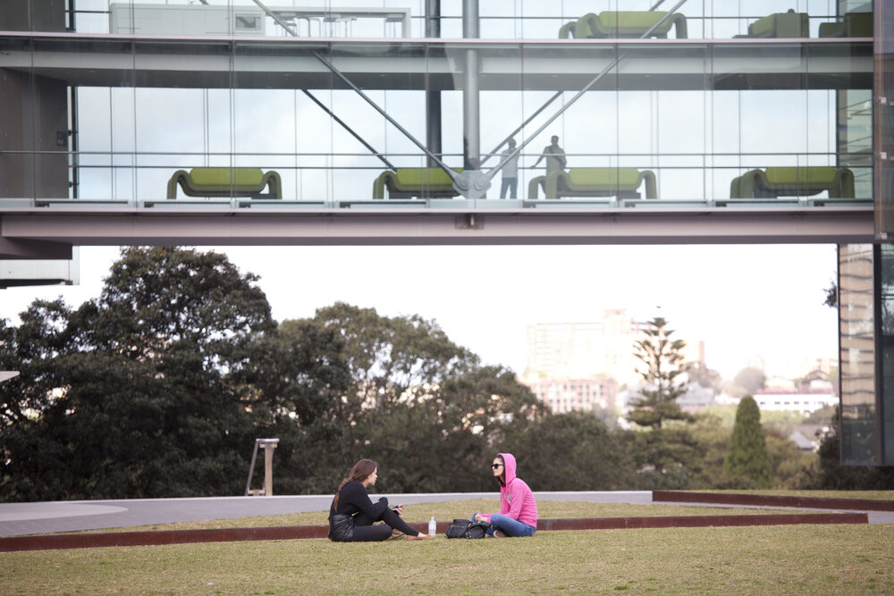 Students Relaxing on the New Law Building Lawns 