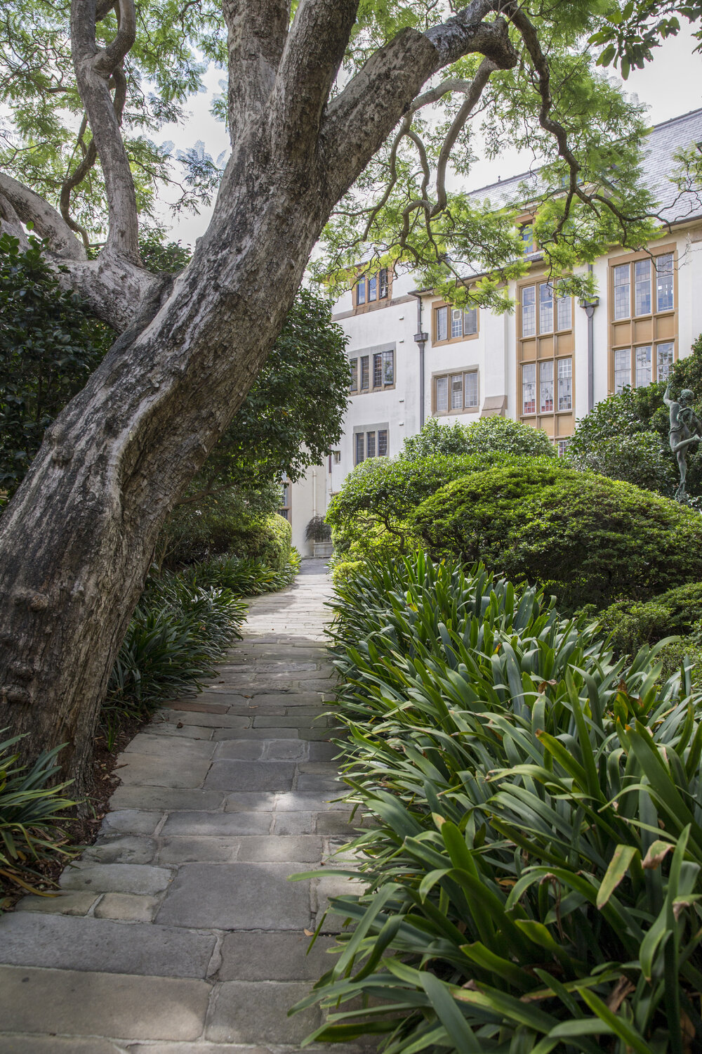 Vice-Chancellor's Garden 