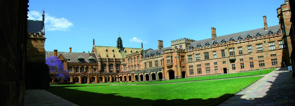 Quadrangle and MacLaurin Hall with Jacaranda Tree in Bloom
