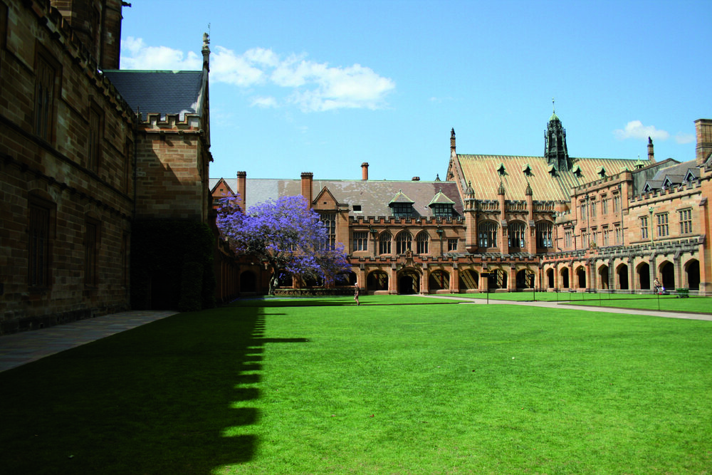 Quadrangle and MacLaurin Hall with Jacaranda Tree in Bloom