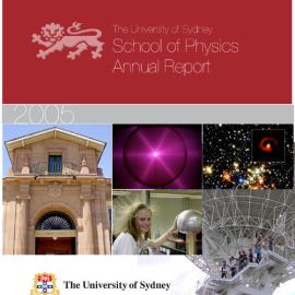 Science Foundation for Physics Annual Report 2005